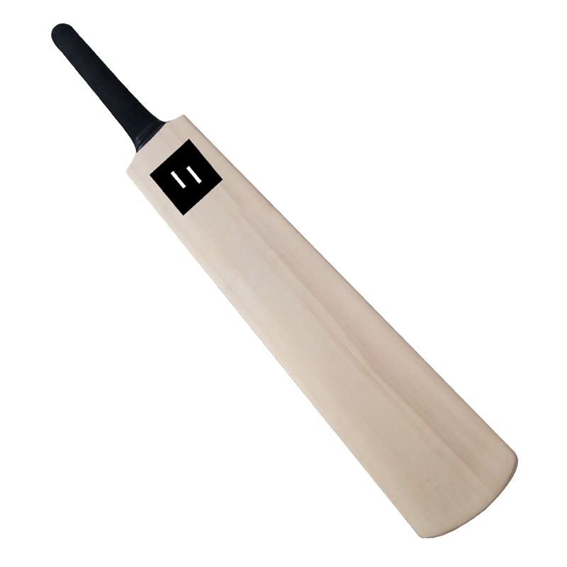 Full Size Cricket Bat 800px